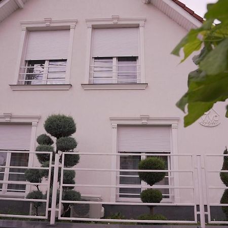 Vivo House Bed & Breakfast Targu Mures Exterior photo